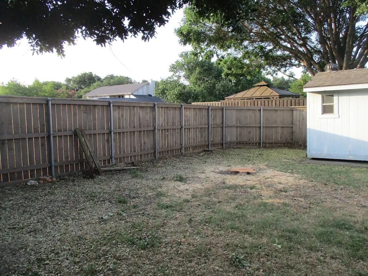 Cleared yard after professional tree removal in Fort Yukon