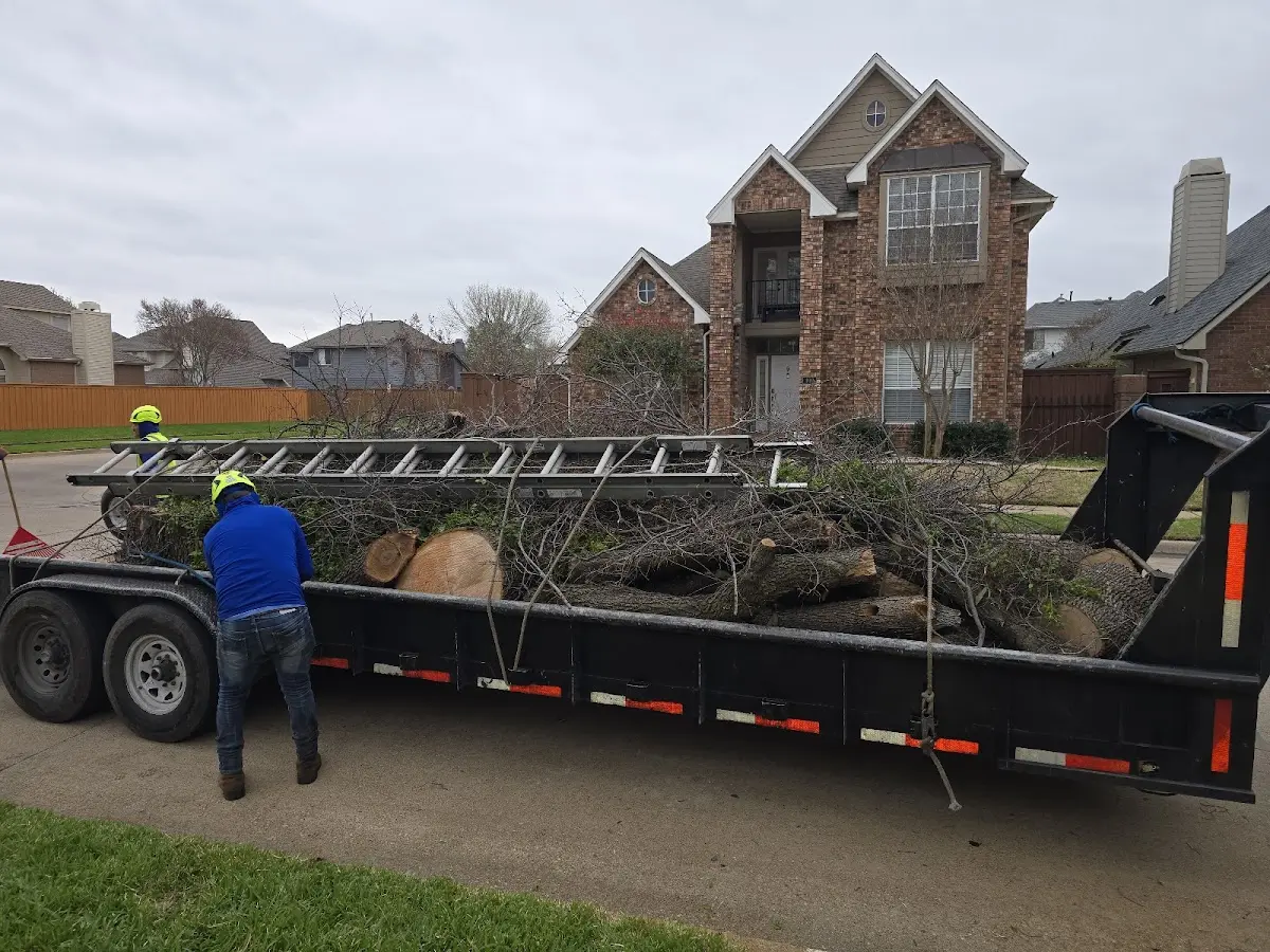 Expert Tree Pest Control with proper safety equipment in Fort Yukon